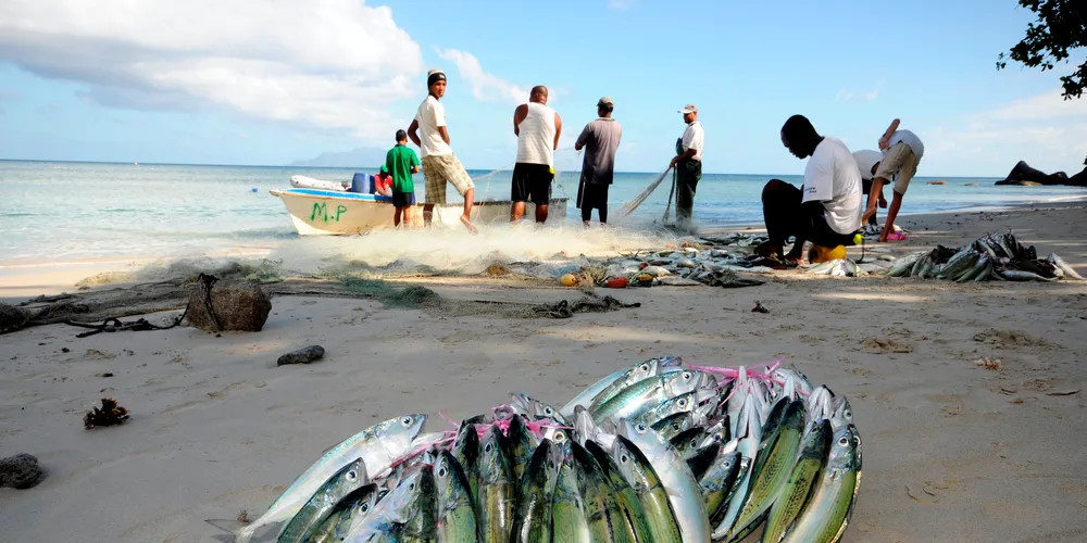 European Investment Bank ready to step up investments in fisheries
