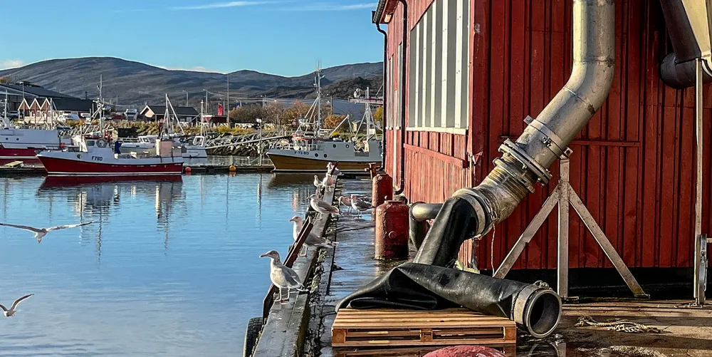 Justervesenet har kontrollert en rekke fiskemottak i høst.