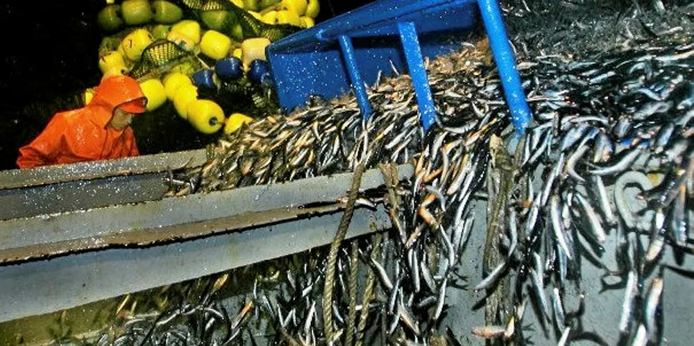 Pelagics fishing season in South Central Peru ends.