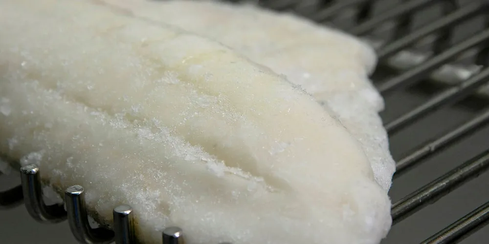 Frosset filet i sorterings- og pakkingsrobot.