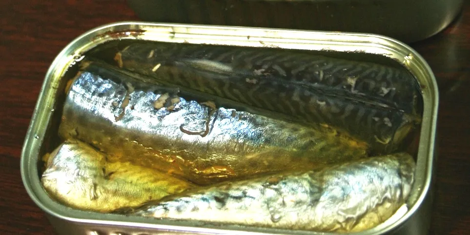 UK fish canner's profit spikes despite difficult mackerel operations