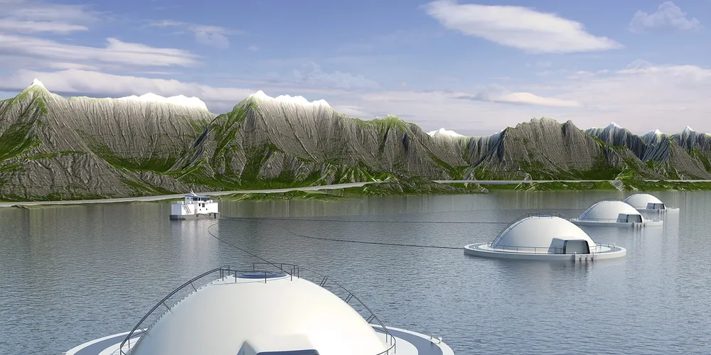 Pengane frå emisjonen i hauge Aqua skal gå til å bygge opp drifta i dotterselskapet Hauge Aqua Solutions der det skjer fleire utviklingsprosjekt.