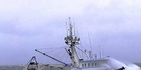 Alaska pollock quota jumps 56 percent