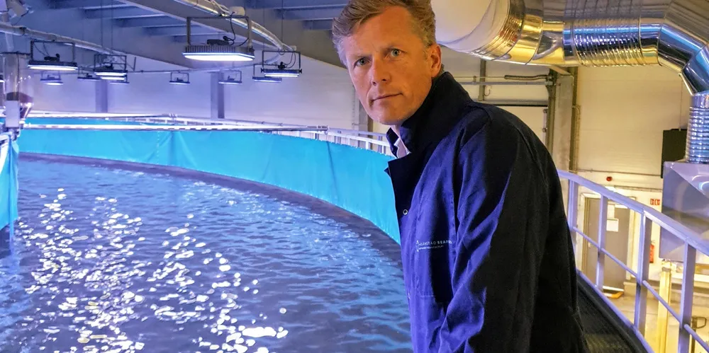 Fredrikstad Seafood's CEO Bernt-Olav Rottingsnes may soon be looking down at a pen filled with kingfish instead of salmon.