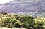 Kirthar National Park: Close to where the explosion took place