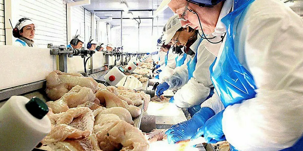 SAMFUNNSKRITISK: Produksjonen av fisk er regnet som samfunnskritisk og viktig å opprettholde. Det er derfor gjort en rekke unntak fra tiltakene mot korona-viruset for sjømatnæringen.