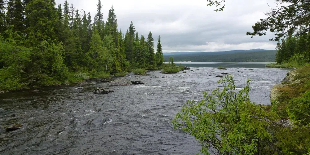 Vil bygge storkraft i Valdres