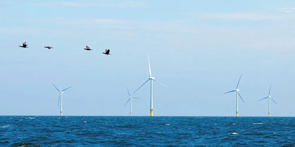 Wind turbines at the existing Egmond aan Zee wind farm