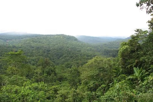 Exploration: ExxonMobil and Oil Search are targeting a potential multi-TCF prospect in Papua New Guinea