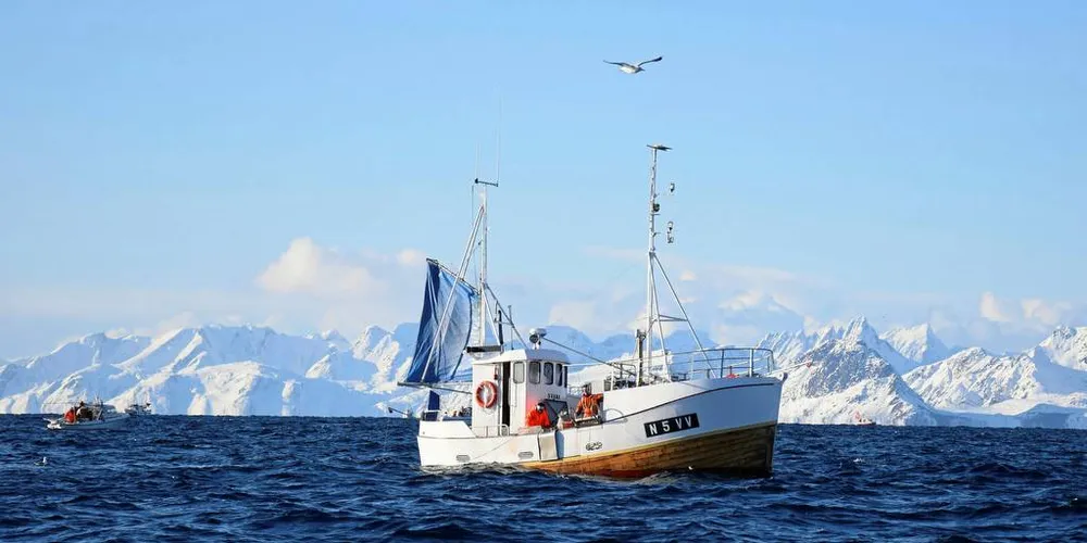 I dag har de unge som ønsker å etablere seg som fiskere, rett og slett ikke økonomi til å kjøpe kvoter til gjeldende priser.Illustrasjonsfoto: Frode Adolfsen