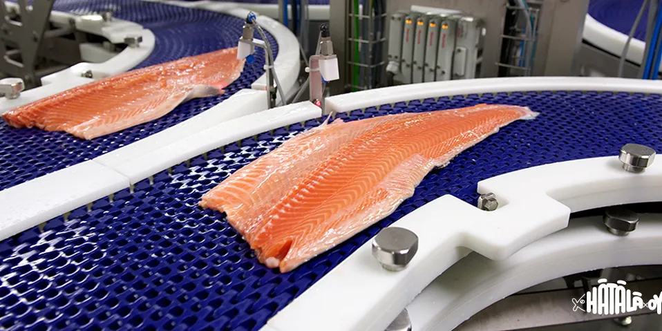 Costco’s salmon shift could have broad implications for Chile