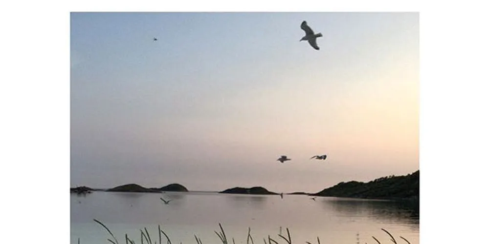 - Denne sommeren har vi fått like mye sei som jeg husker fra barndommen, sier Reidun Kjelling Nybø, vinner av fbfis instagramkonkurranse.