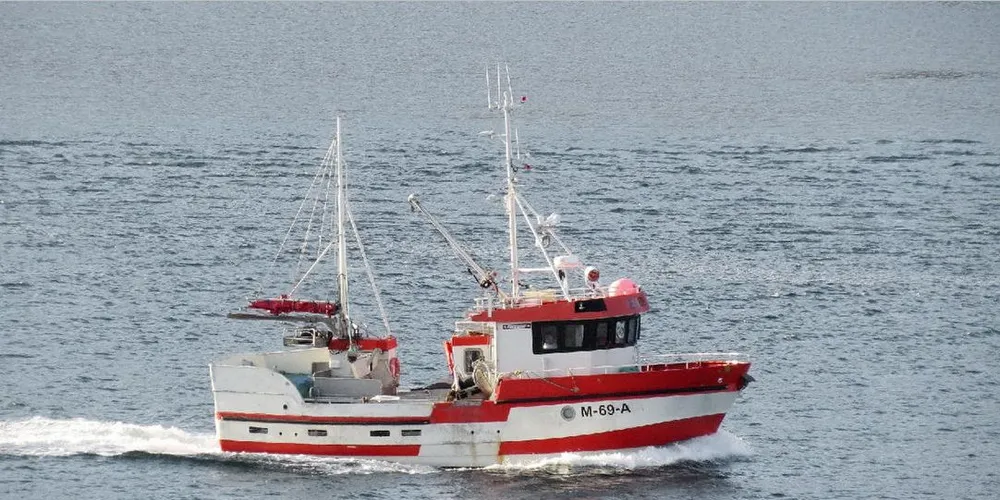 I NORD: Møre-sjarken «Buøy» driver for tida et blandingsfiske på Nord-Tromskysten. Sei og uer i riktig forhold er avgjørende for at dette skal være mulig, understreker reder Jim Rune Sørøy. Foto: Jon Eirik Olsen.