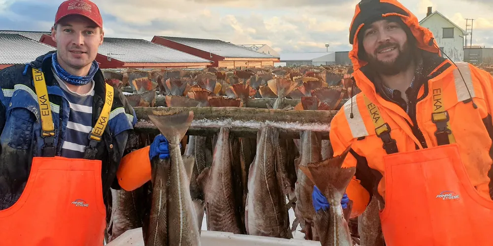 Brødrene Karol og Bartek Guzewicz har vært sesongarbeidere hos Røst Fiskeindustri i en årrekke. De er glade for at de allerede er kommet seg til Røst, og at begge snart er ferdige med karantenetida.