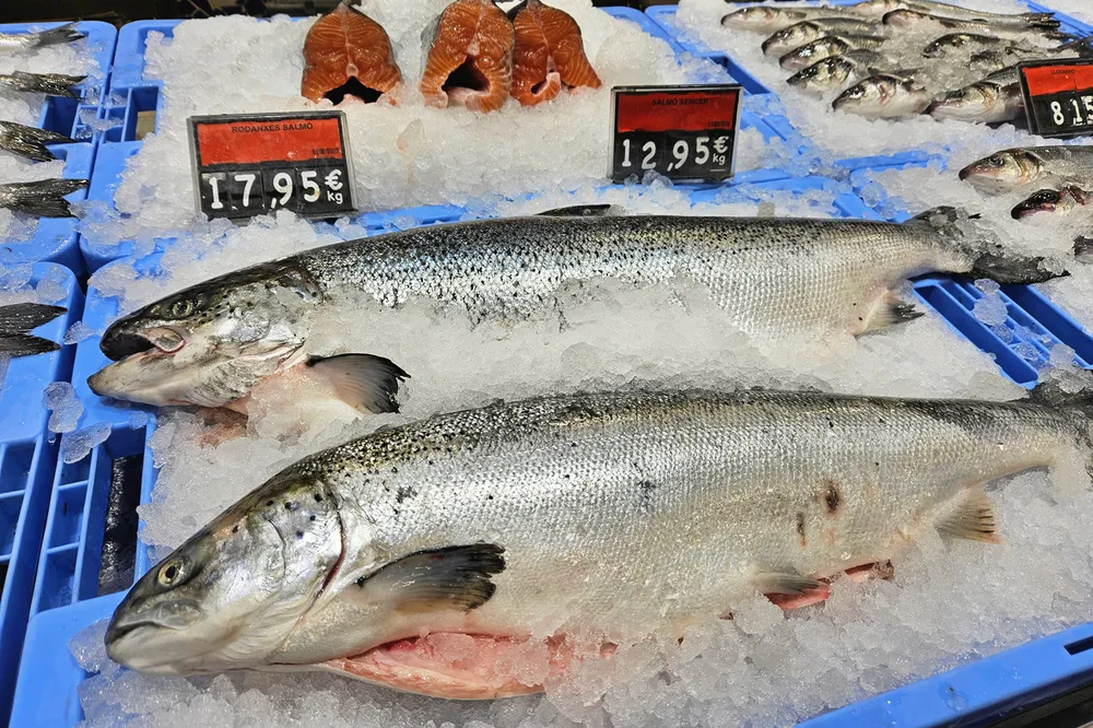 Fersk laks i en fiskedisk i et supermarked i utlandet.