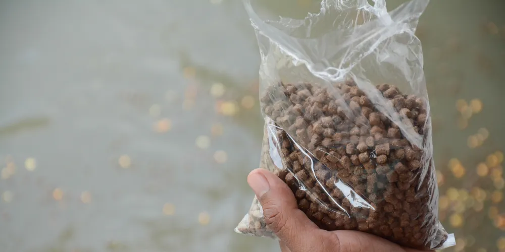 Fishmeal replacements: What are the most viable alternatives?