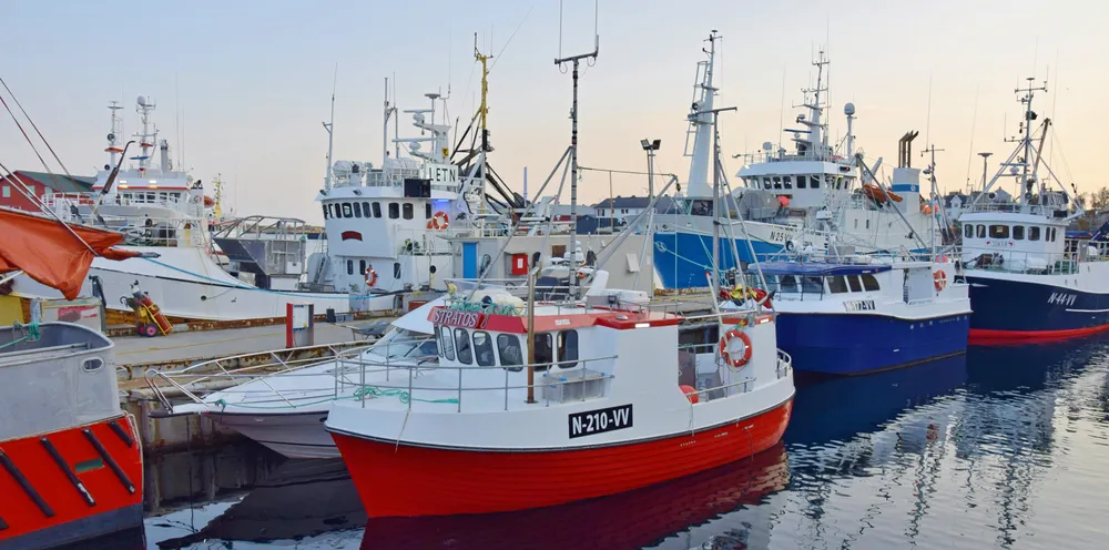 Åpen gruppe får fritt fiske.