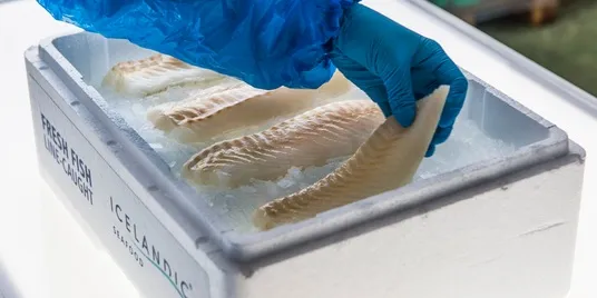 Will Alaska pollock be sold fresh in Europe?
