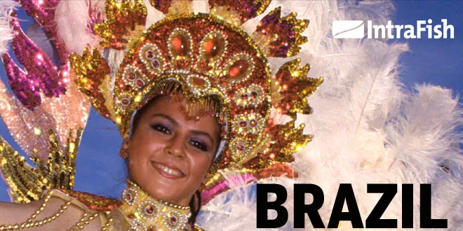 Brazil: Et marked i utvikling