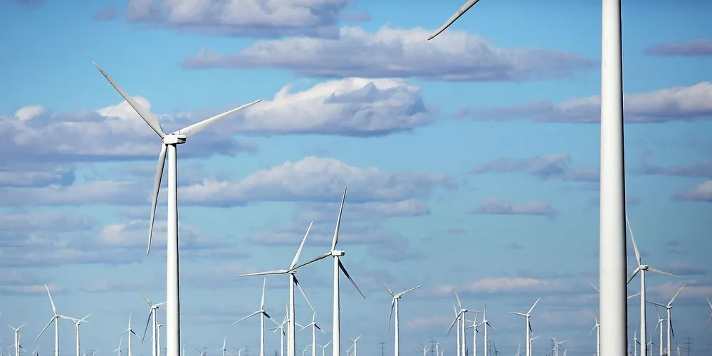 A wind farm in Texas. Invenergy's Murphy says hedge investors are interested again. Pic: Spencer Platt/Getty Images