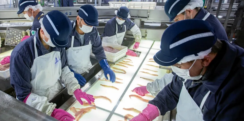 The other side of the coin: Production of pollock fillets dropped 19 percent year-on-year due to weak export markets associated with decreased consumer demand and overproduction.