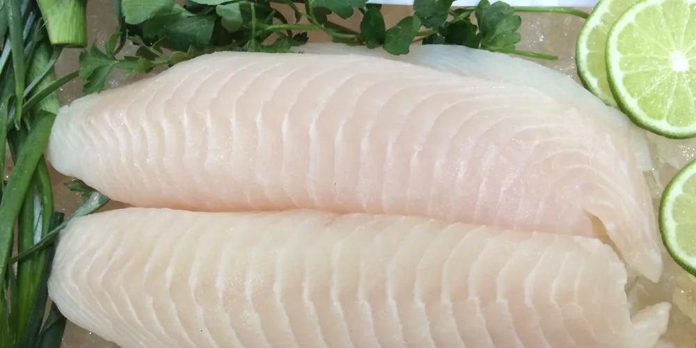 Colombian tilapia supplier continues its quest for US market share