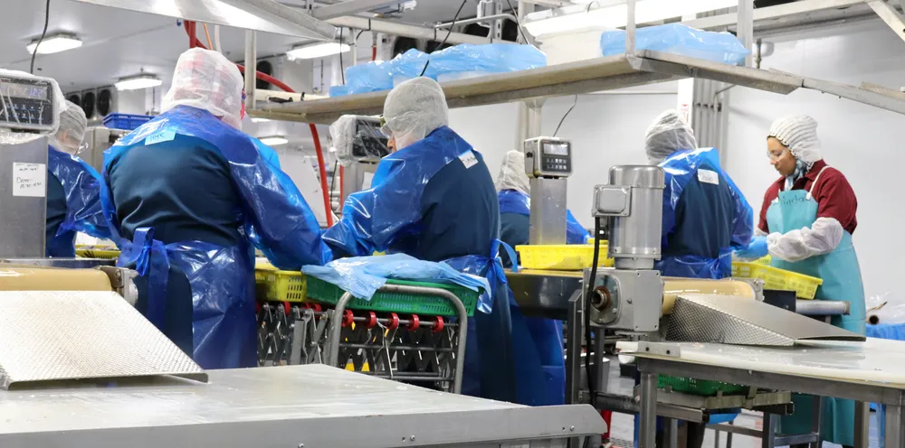 Pacific Seafood has been chosen to fulfill a major USDA contract as groundfish makes more gains with the US federal agency.