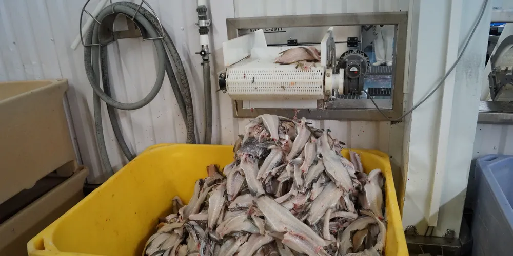 Photo: IntraFish