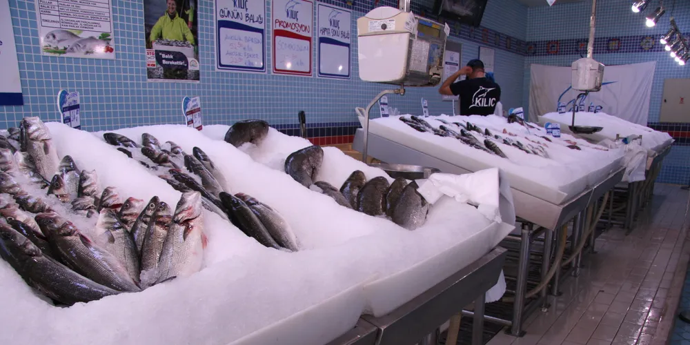Photo: IntraFish