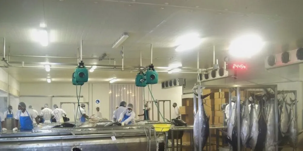 Lack of EU-approved vessels pose supply problem for Fiji fish processor