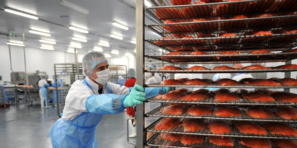 EU processors sound the alarm: Volatile salmon prices 'killing' business