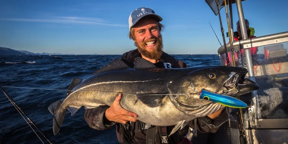 Hannes Ribbner fra Sverige med gigant-seien han fisket i Lofoten. Foto: Privat/Hooked.no