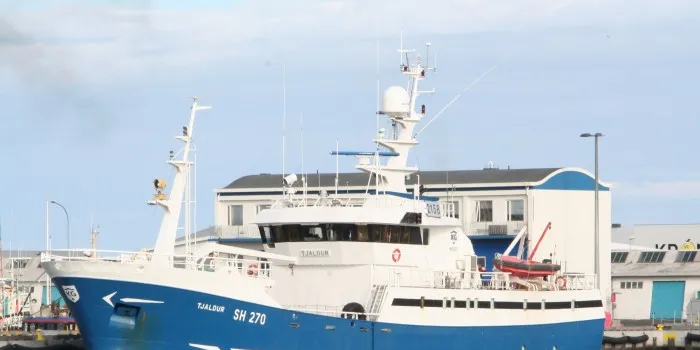 Mustad, SaveWave find new approach to avoiding sea bird mortality