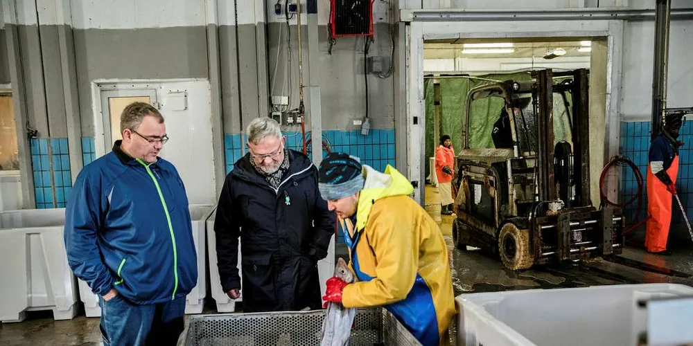 Fiskemottaket Nordvågen AS i Nordkapp kommune er stengt fra omverdenen da flere veier i kommunen er stengt grunnet stor snøskredfare. Daglig leder Odd Magne Nylund (til venstre). Her sammen med styreleder og hovedaksjonær Steinar Eliassen i Nordvågen og fiskearbeider Ali Mohammidi. Foto: Per Thrana