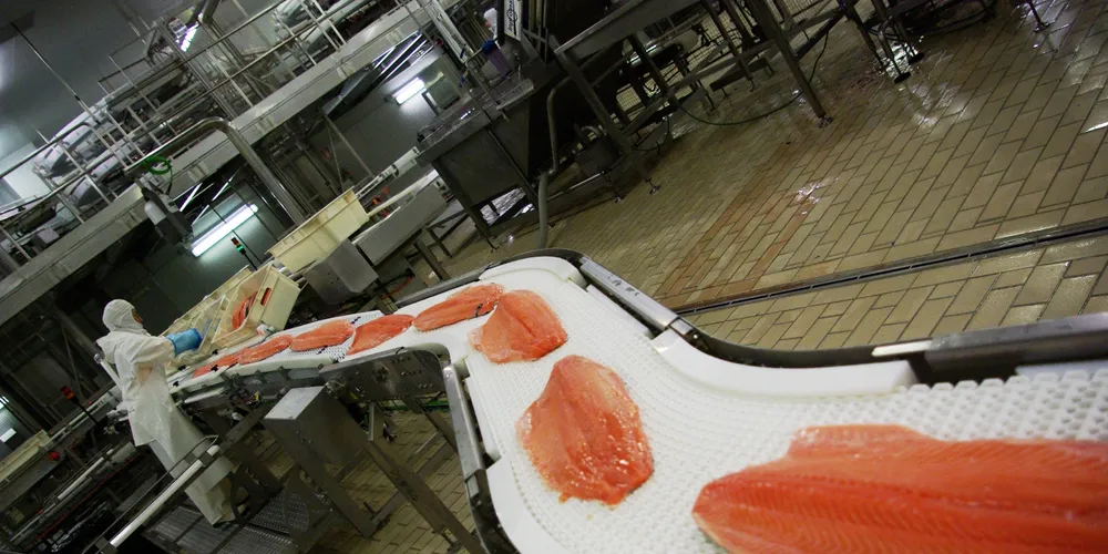 Marine Harvest USA hit by multiple unit fresh salmon recall