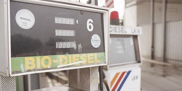 UN: Solar energy often preferable to biofuels