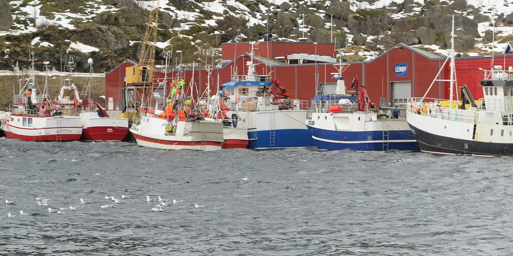 VIL SPARE: Fiskeflåten kan årlig spare 34 millioner på en redusert produktavgift, mener Fiskebåt.