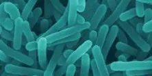 Danish smoker says listeria level 'was within legal limit'