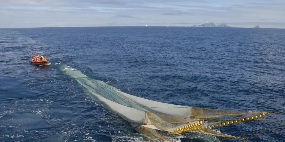 Forskere fra Havforskningsinstituttet har gjennomført fem mindre kartlegginger av krill i Antarktis siden 2011. Mer kunnskap må til for en god forvaltning, mener seniorforsker Bjørn Krafft ved Havforskningsinstituttet. (Foto: Bjørn Krafft/Havforskningsinstituttet)