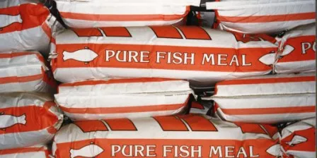 IFFO analyst: Fishmeal, fish oil production to flatten out in 2016