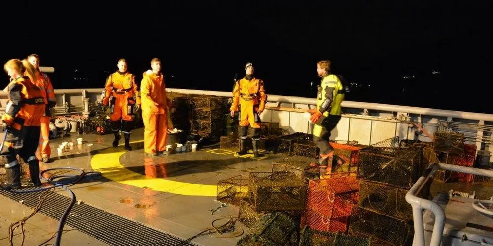 I en felles samarbeidskontroll med Fiskeridirektoratet, beslagla Kystvakten 90 teiner langs Vestlandskysten forrige uke. Foto: KV «Tor»