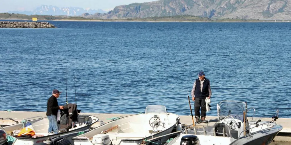 At aktører og turister med uærlige hensikter bare har halvparten så stor utførselskvote betyr ingenting i praksis, for de bryr seg uansett ikke om det lille som gjelder av lover og regler, skriver Yngve Larsen, leder i Andøy Fiskarlag. Illustrasjonsfoto: Terje Jensen