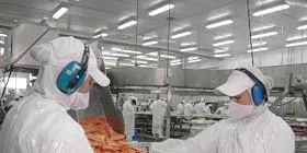 Marine Harvest Chile lays off 200