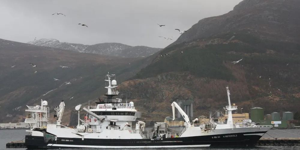 «H. Østervold» er ferdig med sin første tur på kolmulefisket for i år. To turer gjenstår. Foto: Rune Kvamme