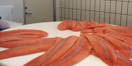 Custom salmon to cost more