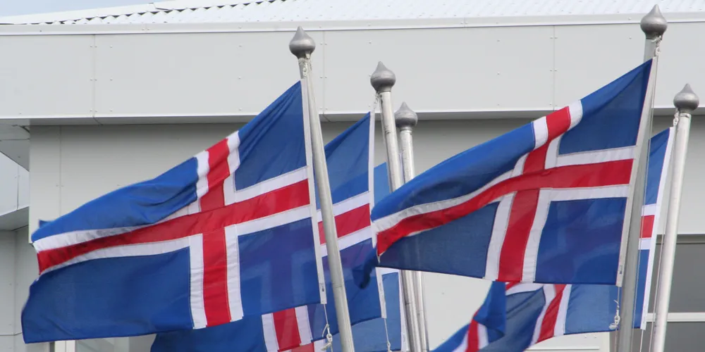 Iceland seafood sector must 'economize and consolidate'