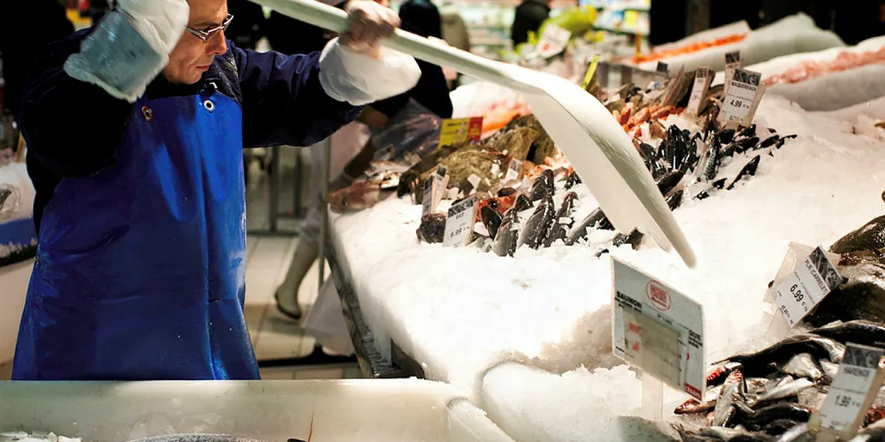 EUROPA-MARKEDET: Flere medier i Norges hovedmarked EU har skrevet om aksjonen mot de norske aktørene i Skottland. Den tyske storavisen Frankfurter Allgemeine Zeitung spør om EUs forbrukere tidligere har betalt for mye for laksen.