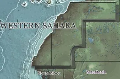 Block success: Wessex and Tower pen deal for block off Western Sahara