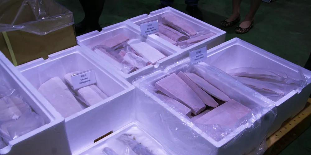 Wen Chi Seafood's product mix. Photo: IntraFish