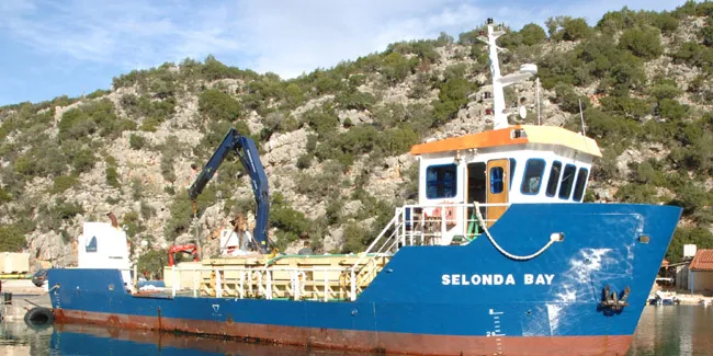 IntraFish Stockwatch: Selonda shares jump 20% in a day